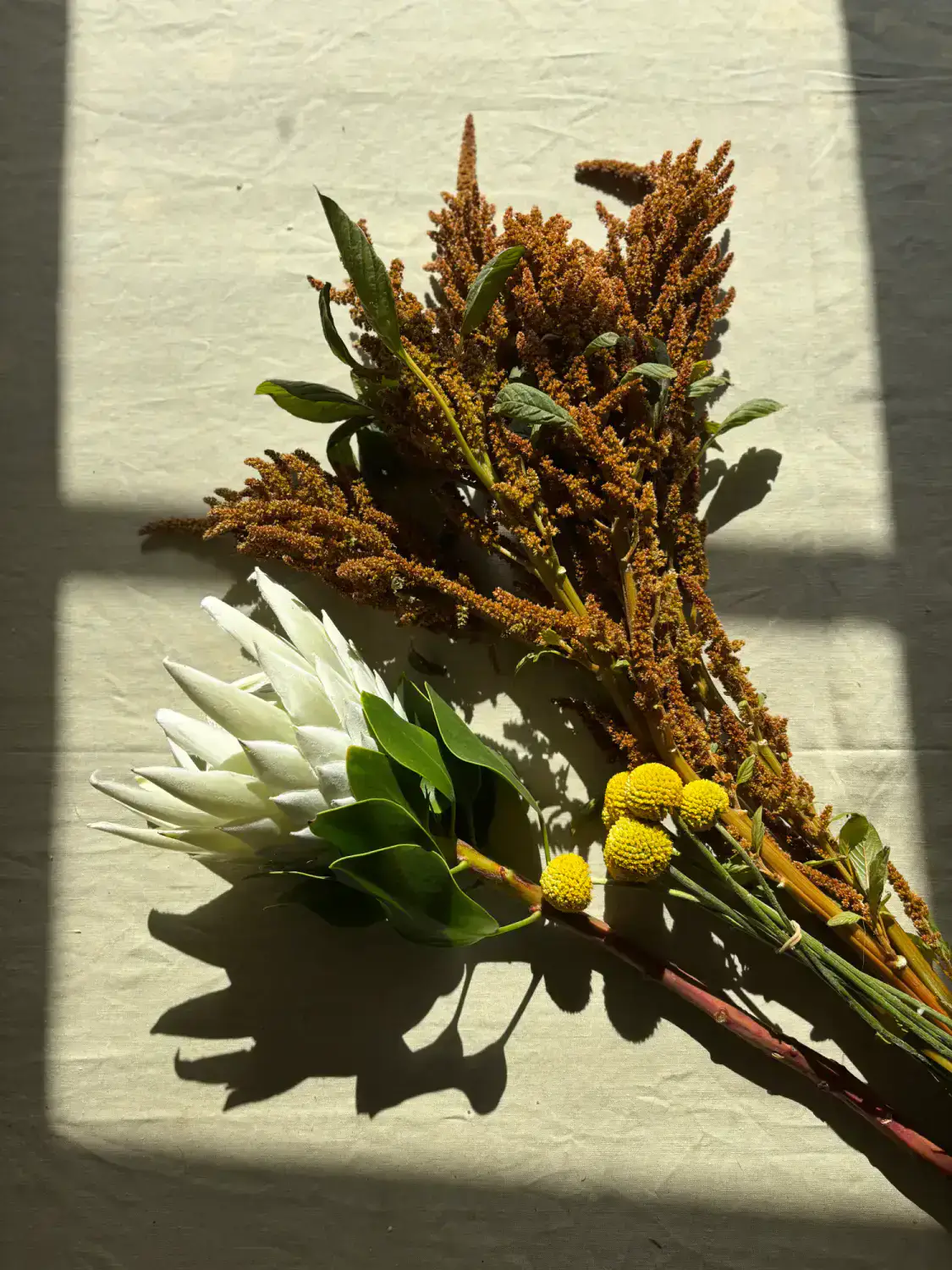 Gallery image 13